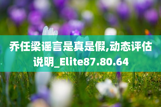 乔任梁谣言是真是假,动态评估说明_Elite87.80.64