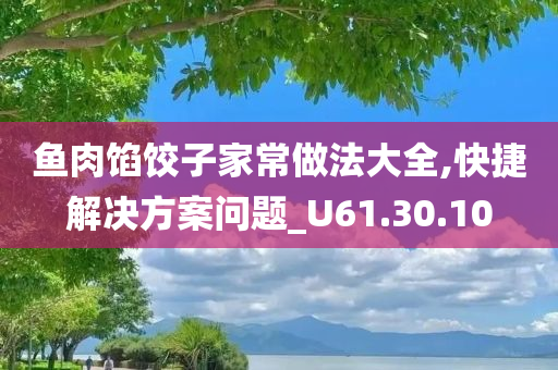 鱼肉馅饺子家常做法大全,快捷解决方案问题_U61.30.10