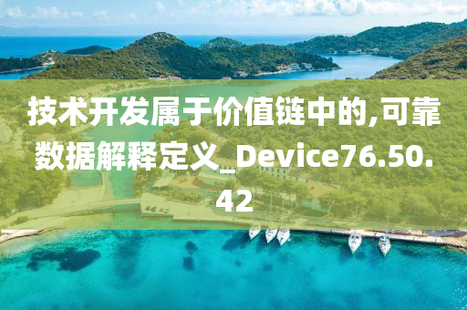 技术开发属于价值链中的,可靠数据解释定义_Device76.50.42