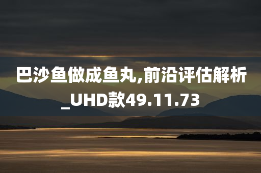 巴沙鱼做成鱼丸,前沿评估解析_UHD款49.11.73