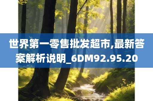 世界第一零售批发超市,最新答案解析说明_6DM92.95.20