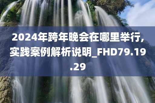 2024年跨年晚会在哪里举行,实践案例解析说明_FHD79.19.29