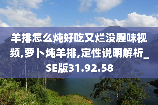 羊排怎么炖好吃又烂没腥味视频,萝卜炖羊排,定性说明解析_SE版31.92.58