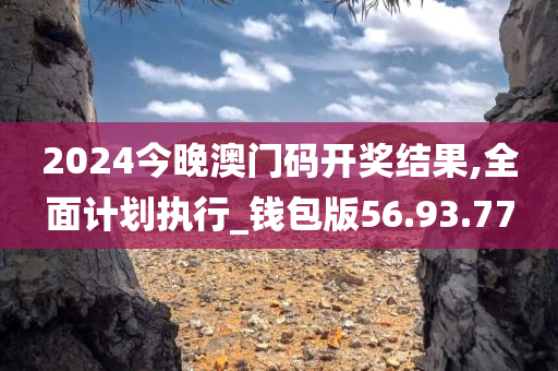 2024今晚澳门码开奖结果,全面计划执行_钱包版56.93.77