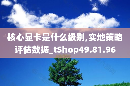 核心显卡是什么级别,实地策略评估数据_tShop49.81.96