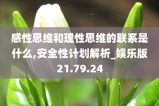 感性思维和理性思维的联系是什么,安全性计划解析_娱乐版21.79.24