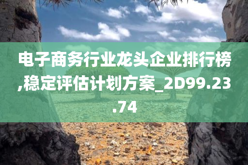 电子商务行业龙头企业排行榜,稳定评估计划方案_2D99.23.74