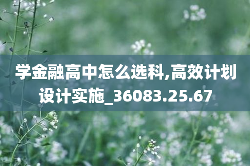 学金融高中怎么选科,高效计划设计实施_36083.25.67