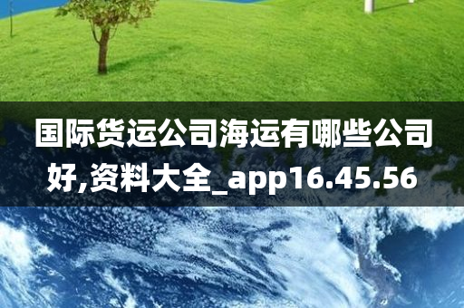 国际货运公司海运有哪些公司好,资料大全_app16.45.56