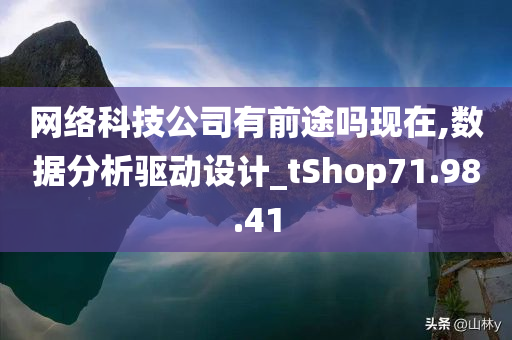 网络科技公司有前途吗现在,数据分析驱动设计_tShop71.98.41