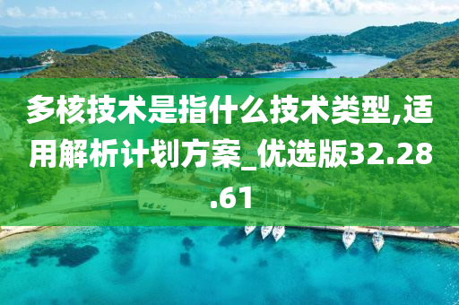 多核技术是指什么技术类型,适用解析计划方案_优选版32.28.61