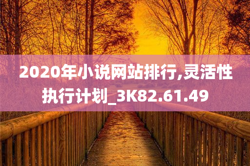 2020年小说网站排行,灵活性执行计划_3K82.61.49