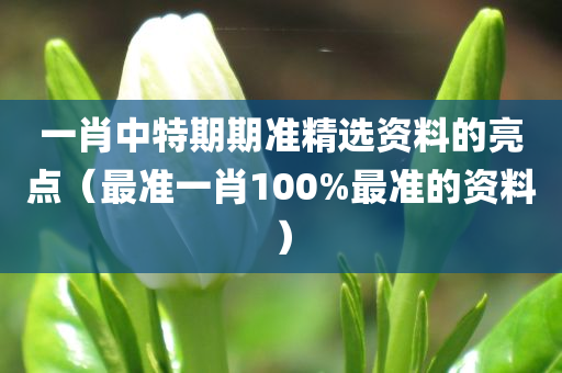 一肖中特期期准精选资料的亮点（最准一肖100%最准的资料）