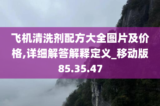 飞机清洗剂配方大全图片及价格,详细解答解释定义_移动版85.35.47