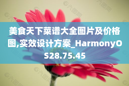 美食天下菜谱大全图片及价格图,实效设计方案_HarmonyOS28.75.45