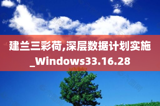 建兰三彩荷,深层数据计划实施_Windows33.16.28