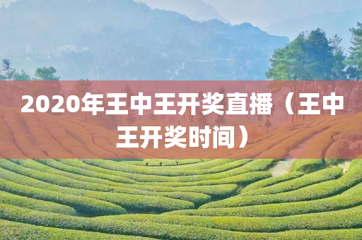 2020年王中王开奖直播（王中王开奖时间）