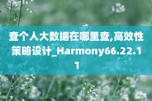 查个人大数据在哪里查,高效性策略设计_Harmony66.22.11