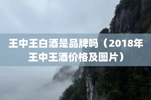 王中王白酒是品牌吗（2018年王中王酒价格及图片）