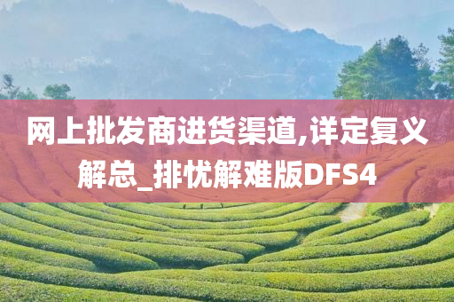 网上批发商进货渠道,详定复义解总_排忧解难版DFS4