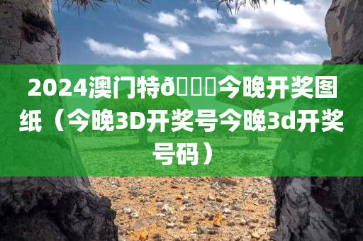 2024澳门特🐎今晚开奖图纸（今晚3D开奖号今晚3d开奖号码）