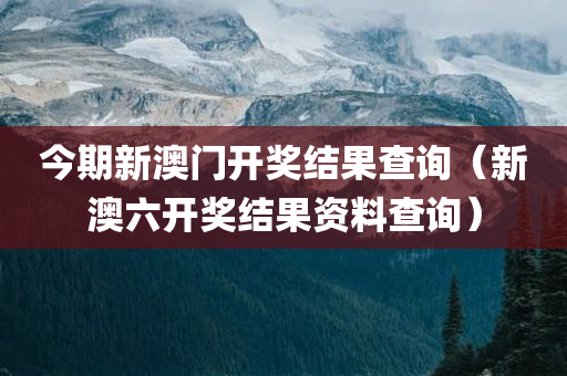 今期新澳门开奖结果查询（新澳六开奖结果资料查询）