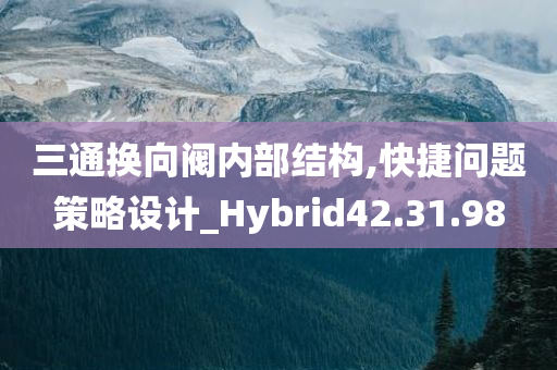 三通换向阀内部结构,快捷问题策略设计_Hybrid42.31.98