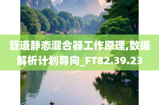 管道静态混合器工作原理,数据解析计划导向_FT82.39.23