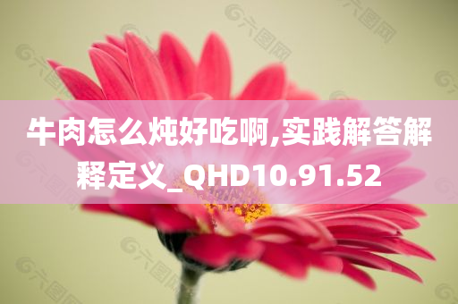 牛肉怎么炖好吃啊,实践解答解释定义_QHD10.91.52