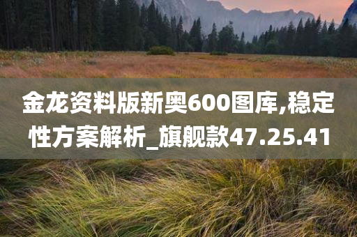 金龙资料版新奥600图库,稳定性方案解析_旗舰款47.25.41