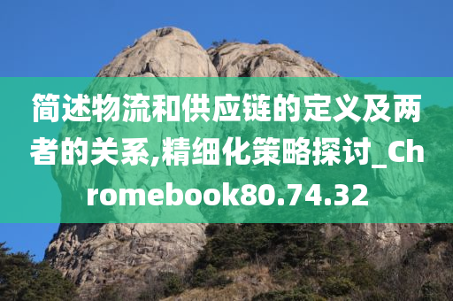 简述物流和供应链的定义及两者的关系,精细化策略探讨_Chromebook80.74.32