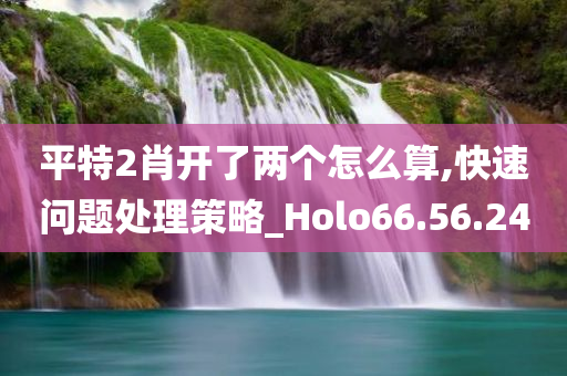 平特2肖开了两个怎么算,快速问题处理策略_Holo66.56.24