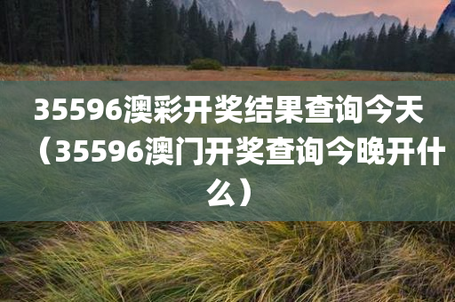 35596澳彩开奖结果查询今天（35596澳门开奖查询今晚开什么）