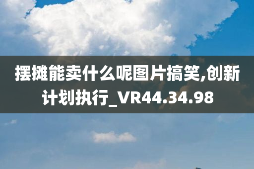 摆摊能卖什么呢图片搞笑,创新计划执行_VR44.34.98