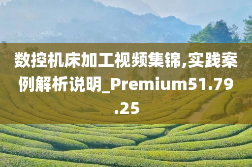 数控机床加工视频集锦,实践案例解析说明_Premium51.79.25