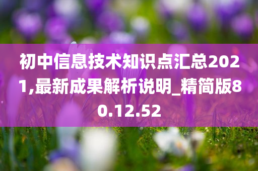 初中信息技术知识点汇总2021,最新成果解析说明_精简版80.12.52