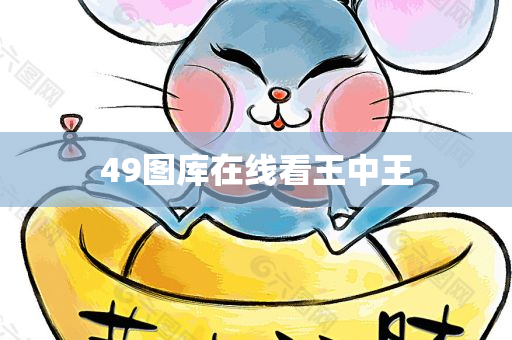 49图库在线看王中王