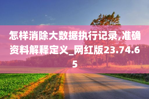 怎样消除大数据执行记录,准确资料解释定义_网红版23.74.65