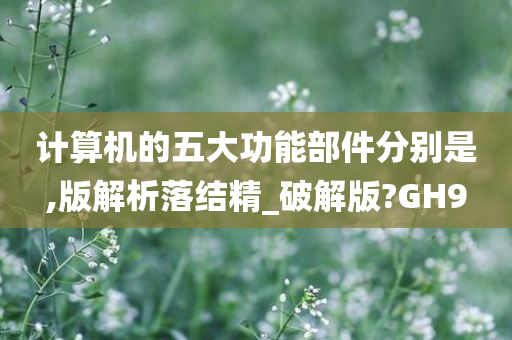 计算机的五大功能部件分别是,版解析落结精_破解版?GH9