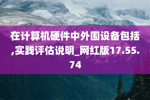 在计算机硬件中外围设备包括,实践评估说明_网红版17.55.74