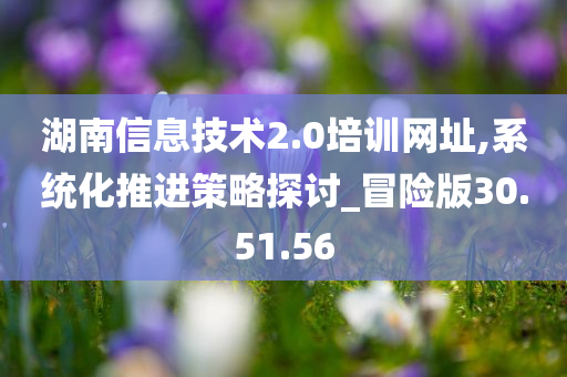 湖南信息技术2.0培训网址,系统化推进策略探讨_冒险版30.51.56