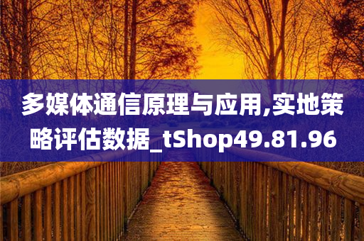 多媒体通信原理与应用,实地策略评估数据_tShop49.81.96