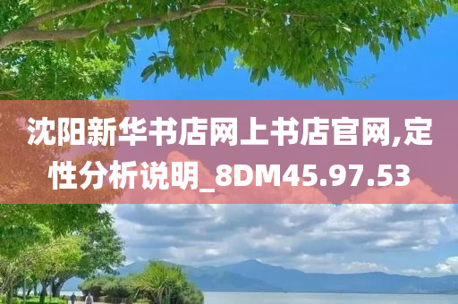 沈阳新华书店网上书店官网,定性分析说明_8DM45.97.53