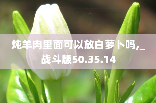 炖羊肉里面可以放白萝卜吗,_战斗版50.35.14