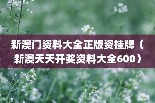 新澳门资料大全正版资挂牌（新澳天天开奖资料大全600）