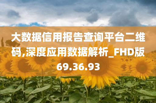 大数据信用报告查询平台二维码,深度应用数据解析_FHD版69.36.93