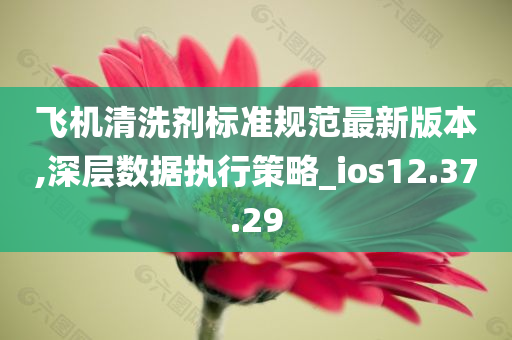 飞机清洗剂标准规范最新版本,深层数据执行策略_ios12.37.29