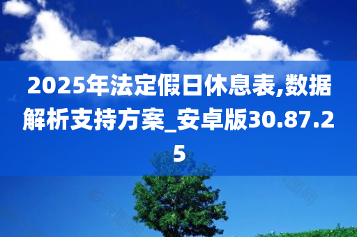 2025年法定假日休息表,数据解析支持方案_安卓版30.87.25