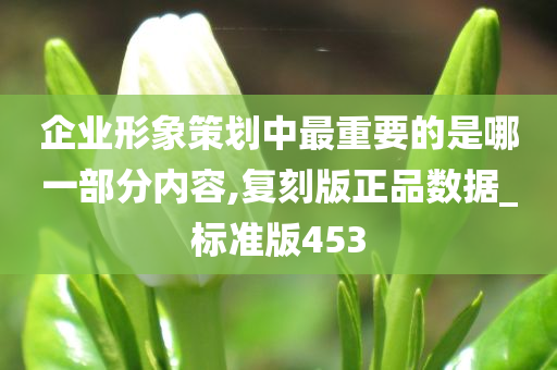 企业形象策划中最重要的是哪一部分内容,复刻版正品数据_标准版453