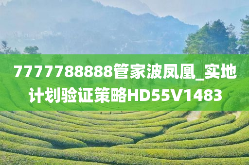 7777788888管家波凤凰_实地计划验证策略HD55V1483